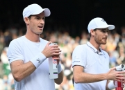 雷火电竞简介-包含日本网球队绝杀意大利网球队，穆雷一己之力扛起全队的词条