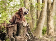 雷火电竞-双星闪耀之夜，李刚仁爆发与曼城命运轮盘的加时决胜