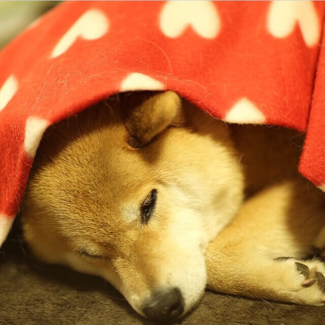 唯一焦点，当雷霆用慢征服了时间的狂飙