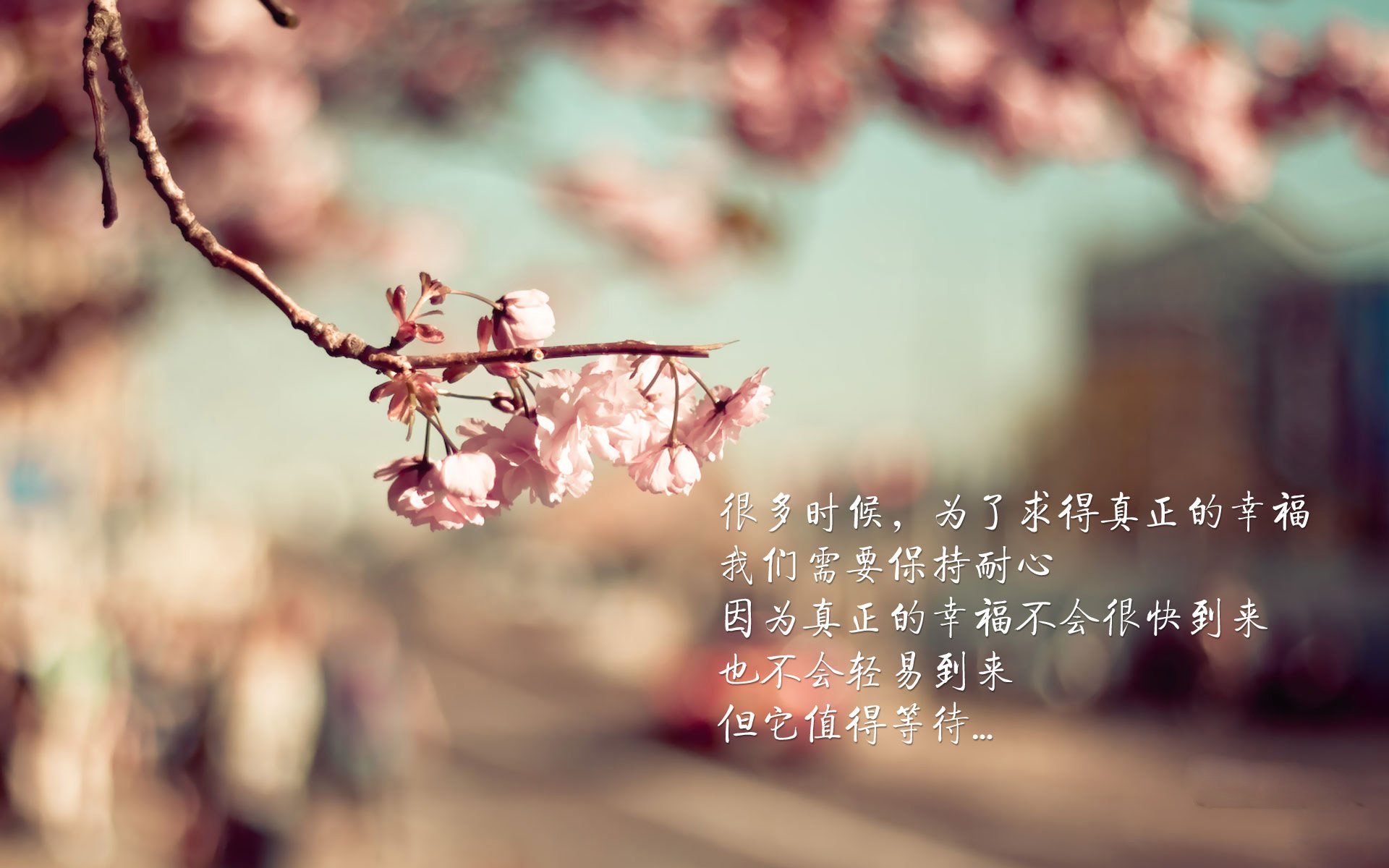 绿洲逆袭，2026世界杯C组关键战，沙特如何用沙漠风暴吞噬奥地利，加维战术板上的神来之笔