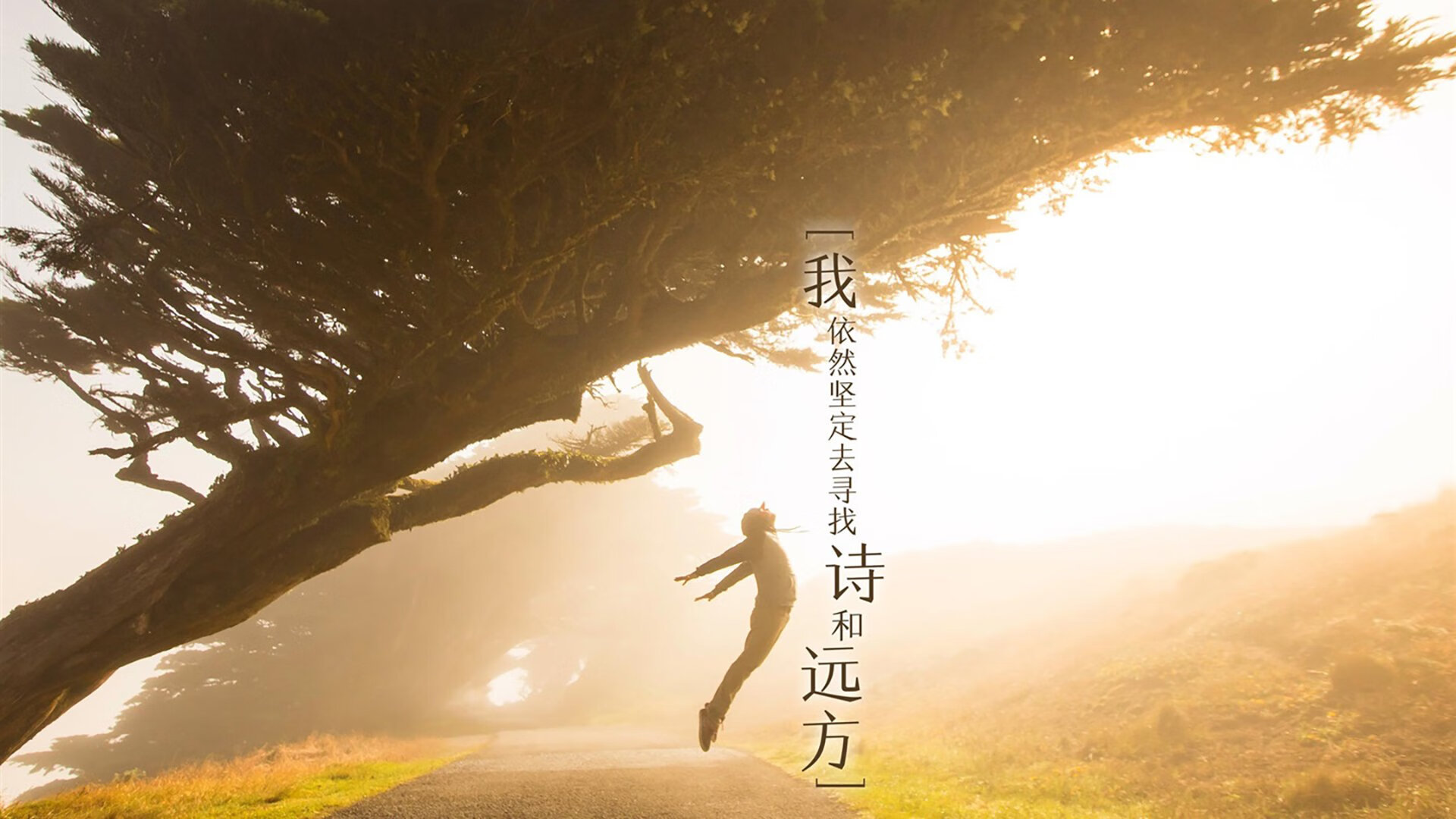 唯一之钥，当瑞士钟表匠遇上美国节奏大师，阿诺德用慢统治了2026世界杯F组的那个夜晚