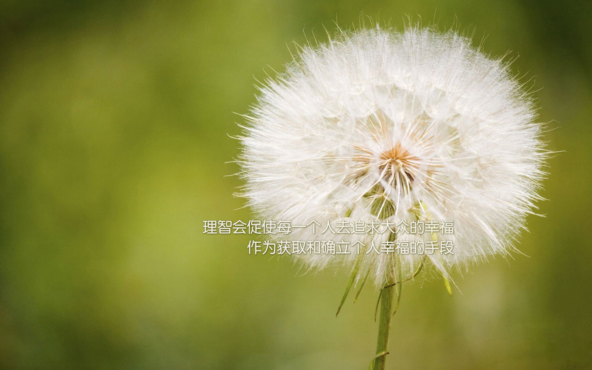 2026世界杯E组,乌拉圭钢铁洪流碾碎枫叶,B费一剑封喉—唯一性结局,早已写进宿命的剧本